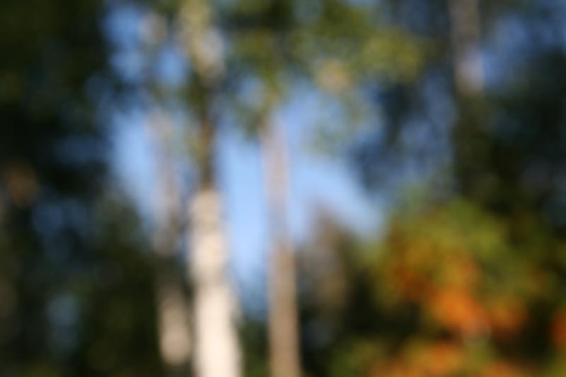 Wonderfully out of focus