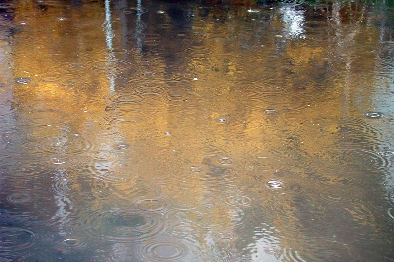 Golden puddle