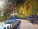 Labour Lake autumn colours