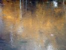 Golden puddle