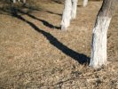 cold grass